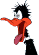 Avatar de l’utilisateur