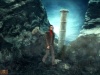 Destinies