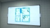 Forensics: Crime Scene Detective