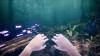 Echoes of Mora