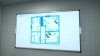 Forensics: Crime Scene Detective