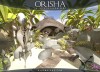 Orisha