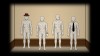 The Paradixion: Exhibition