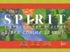 Spirit : l’Etalon des Plaines